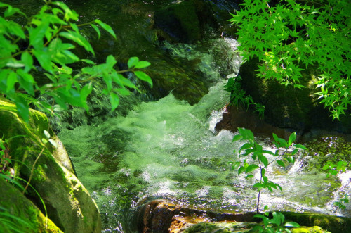 D108A26C-A004-4285-A9E7-D4ACD6AB0952.jpeg