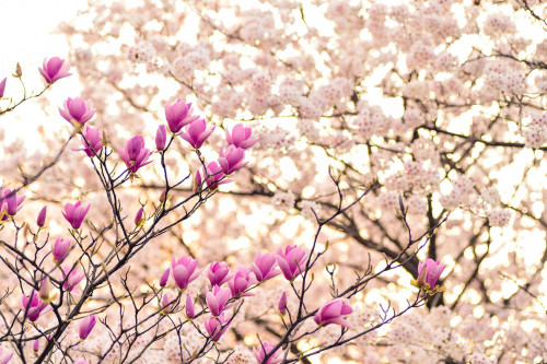 BA03241B-6A5C-4E54-B4B5-ECD8ABF24F4B.jpeg