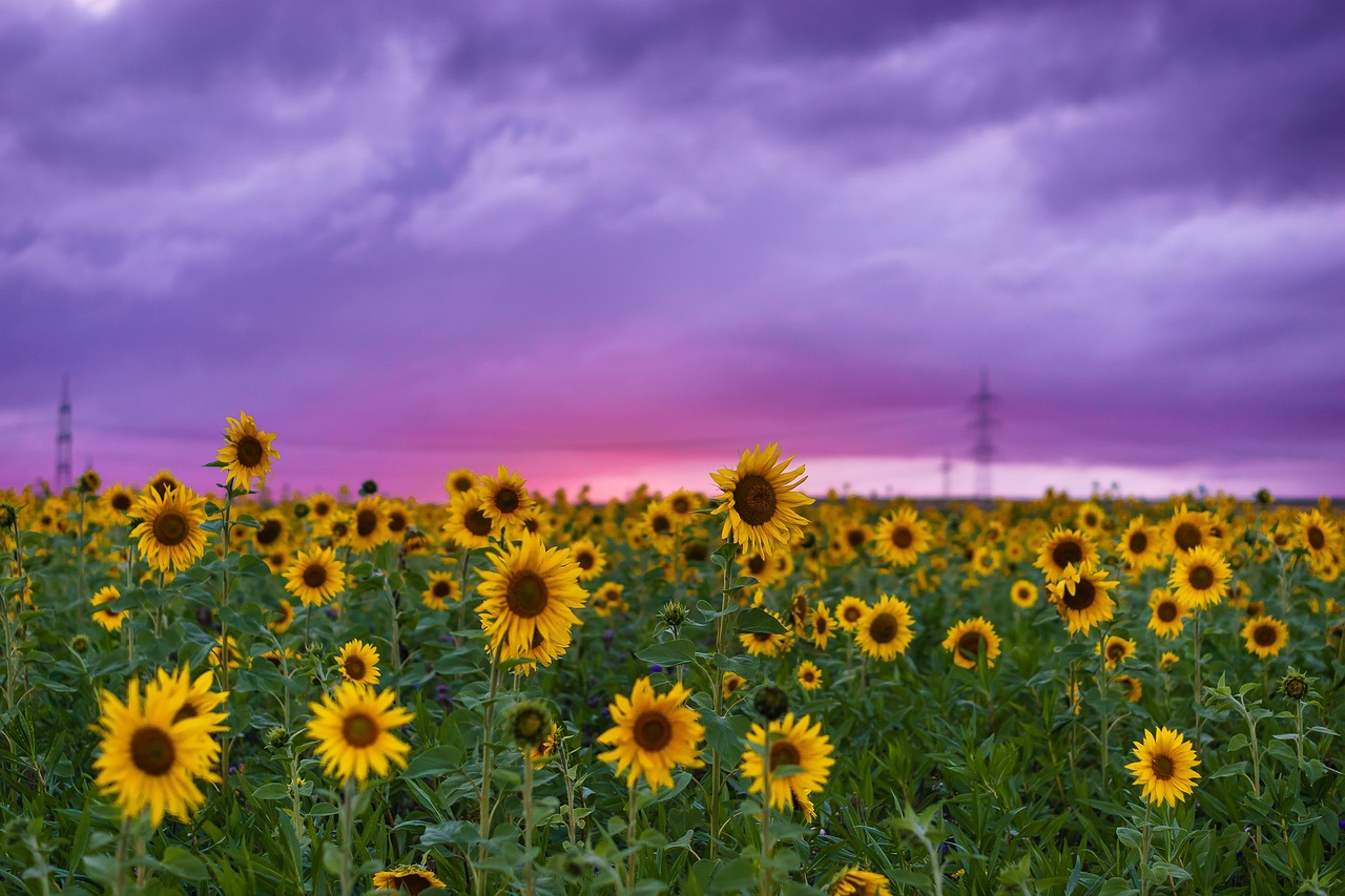 8D8F1386-690B-4E6F-86E6-A4F3FFAED64C.jpeg