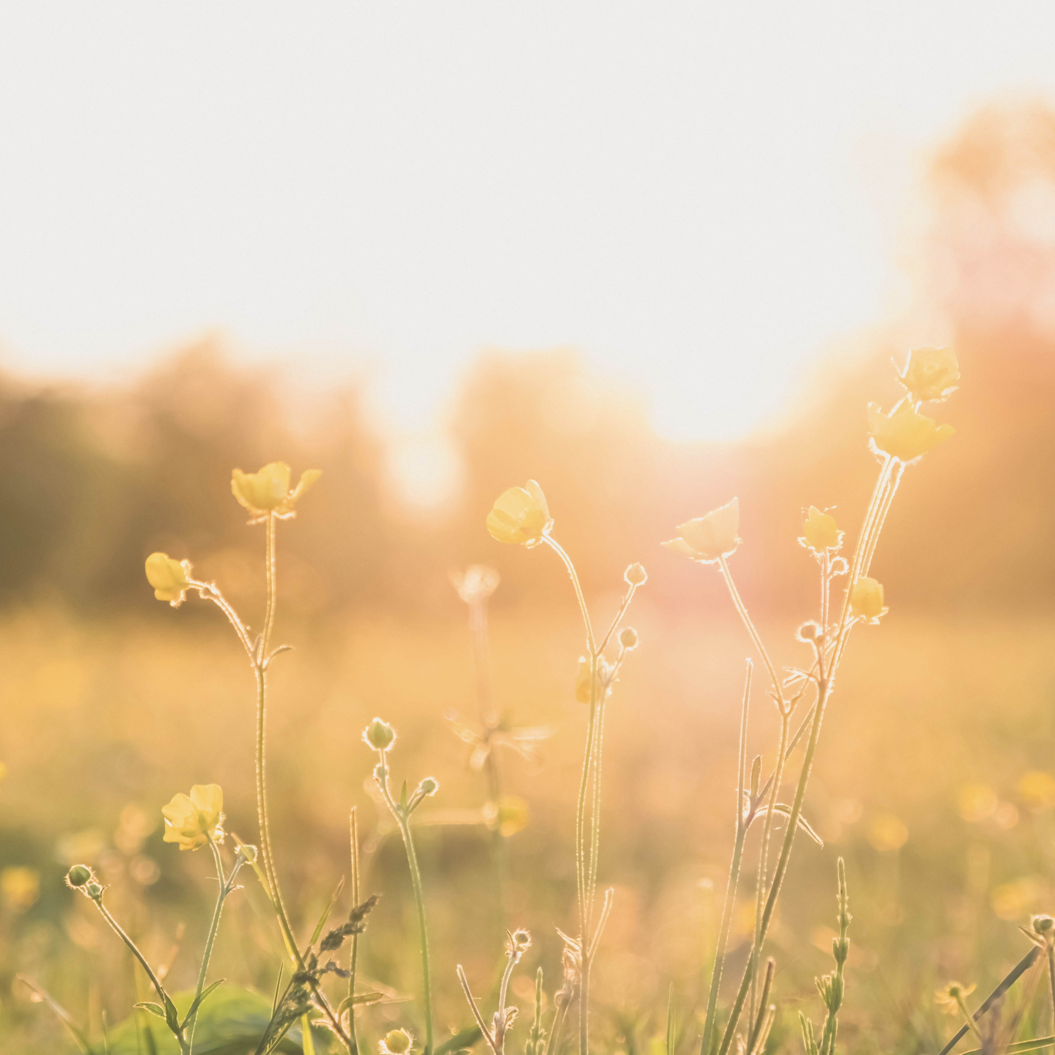 【12/28まで】心身をリセットして、最高の自分で新年を迎えよう