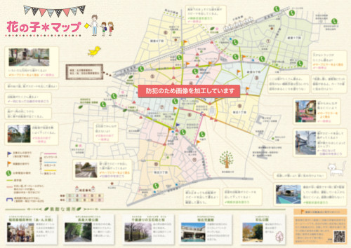 250507_hananoko_map_bokashi_web.jpg