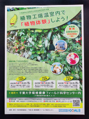 231000_ecogreen_01_web.jpg