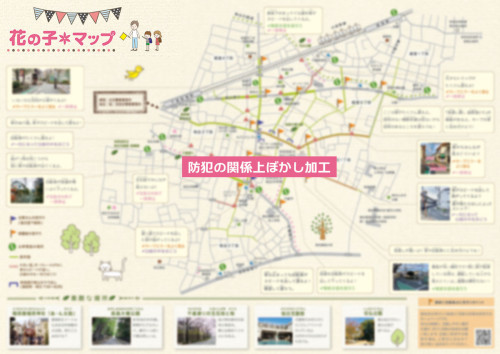 260219_hananoko_map_back_web.jpg