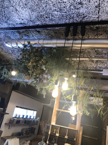 IMG_3835.jpeg