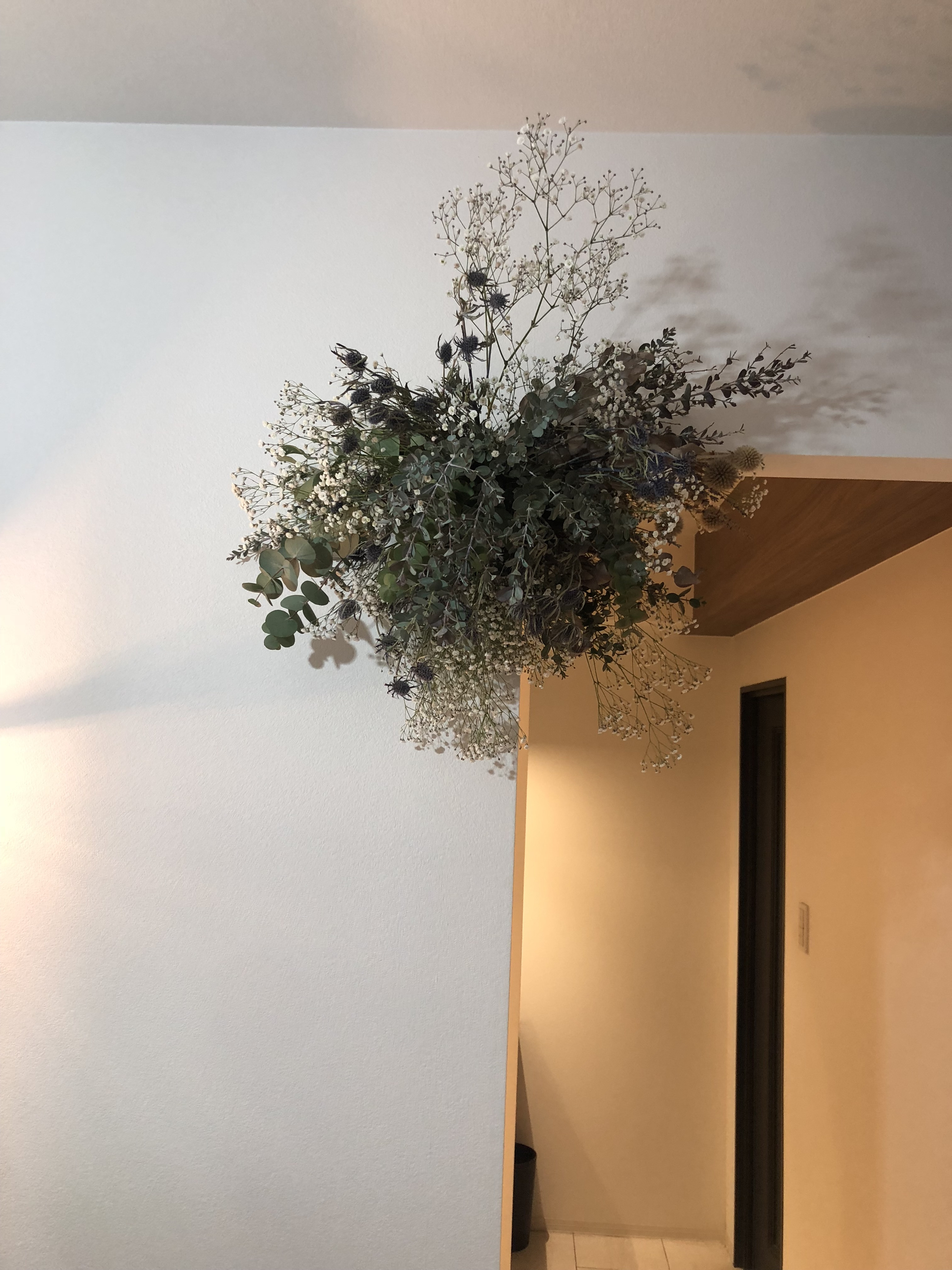 IMG_6823.jpeg