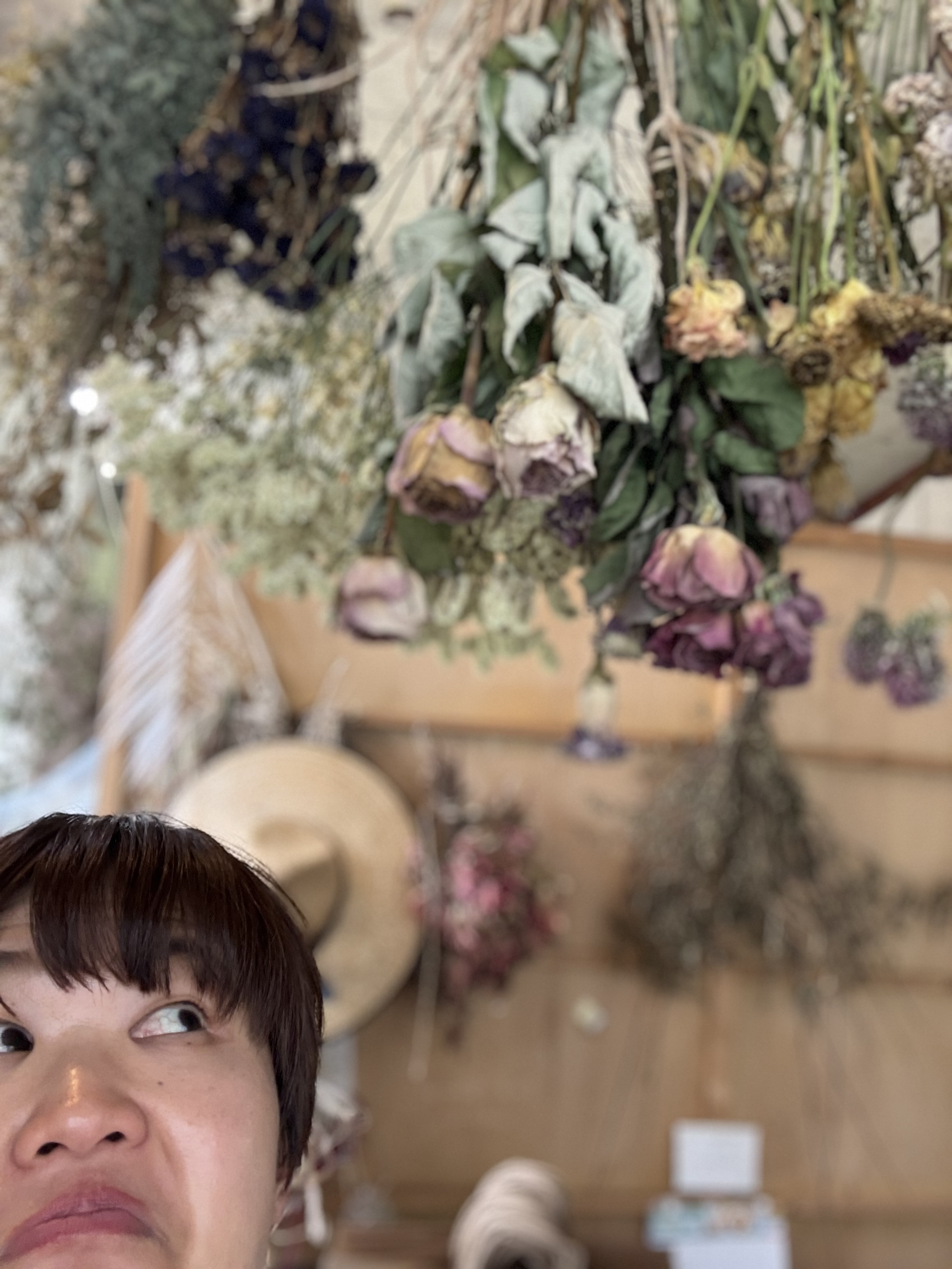 IMG_4987.jpeg