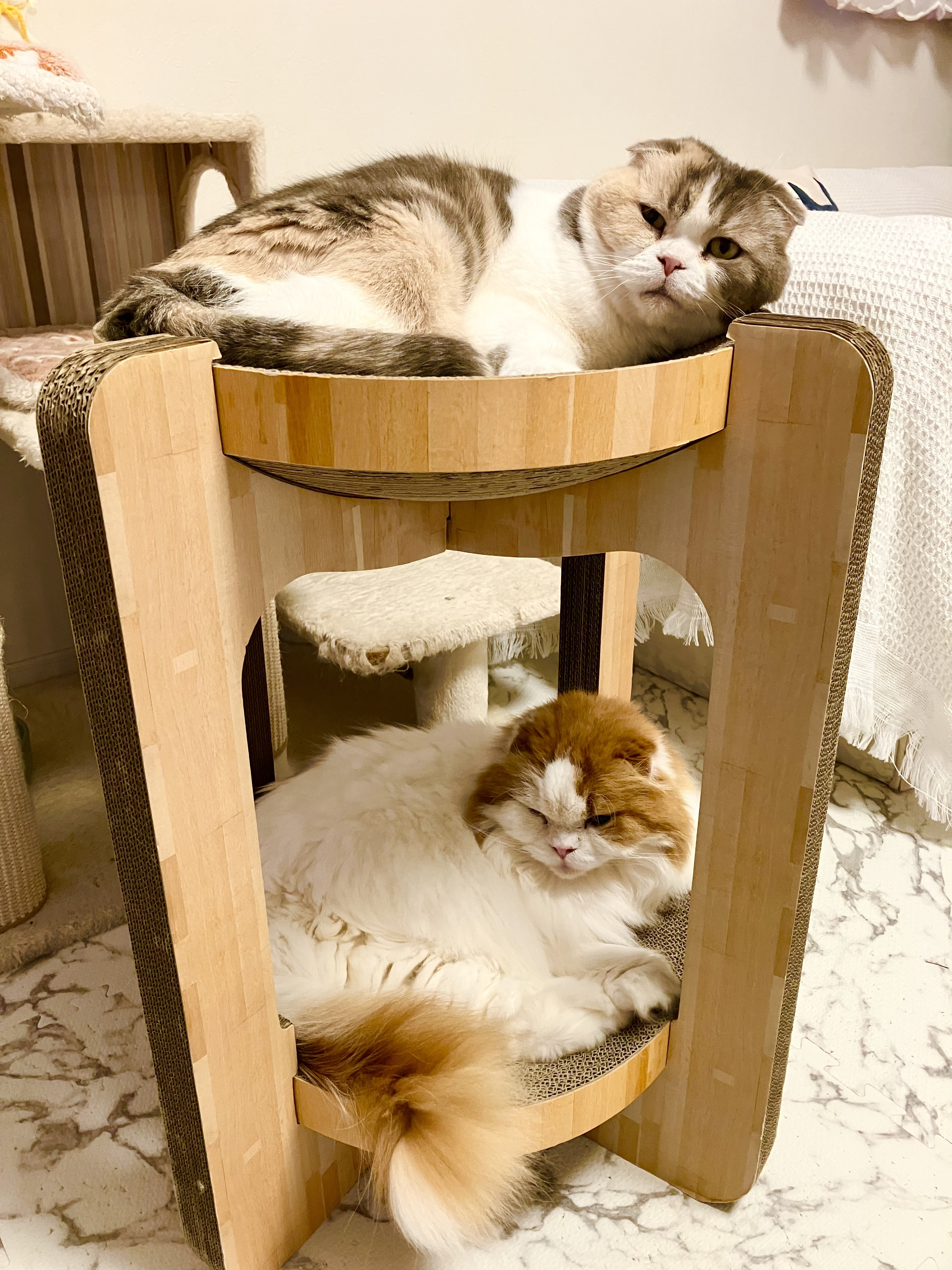 ４月の予定🗓️