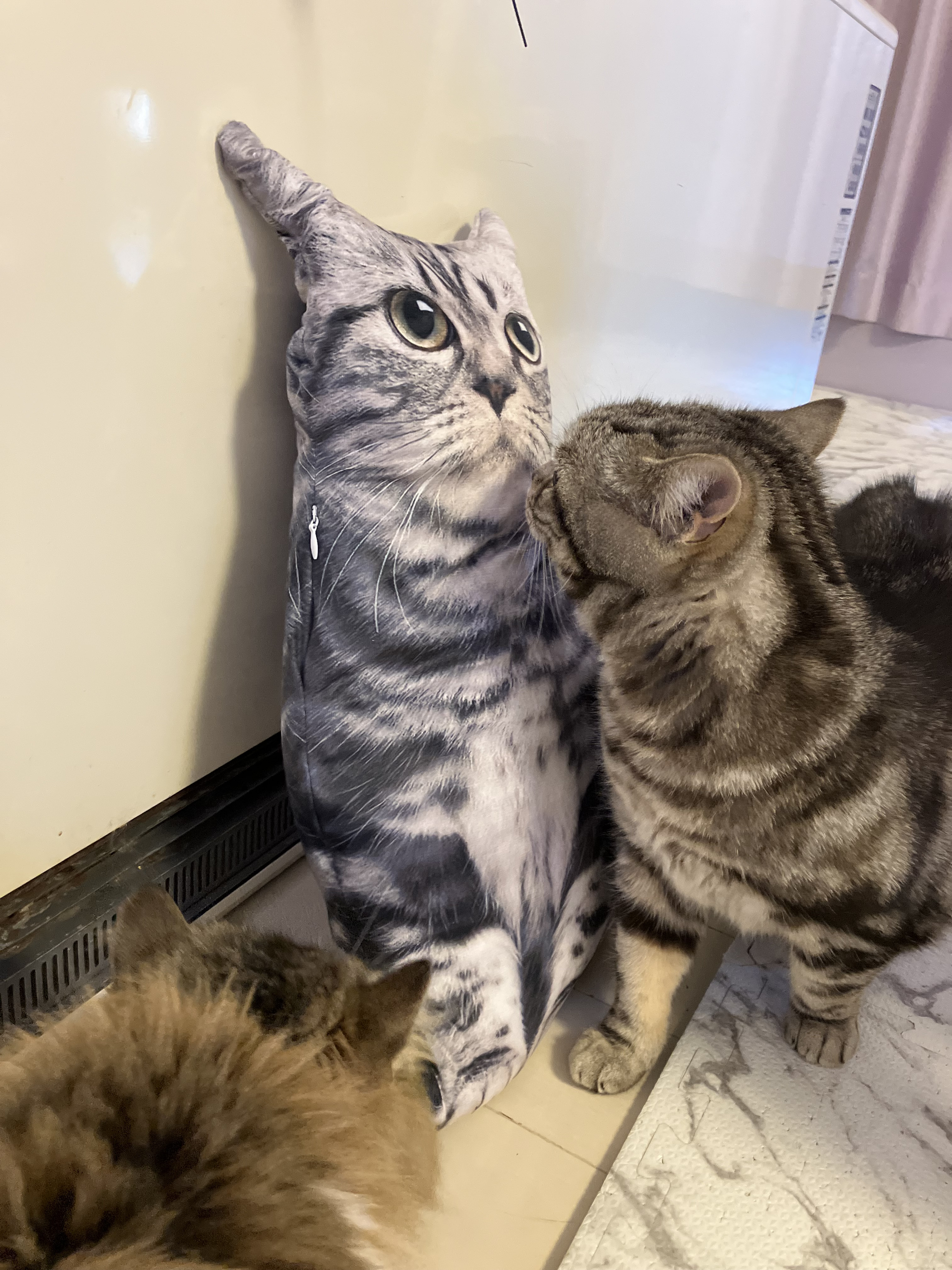 ＧWと5月の予定