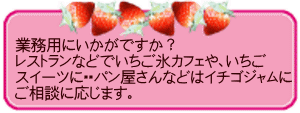 磯山観光いちご園 自家製ドライイチゴ 冷凍いちごの加工品