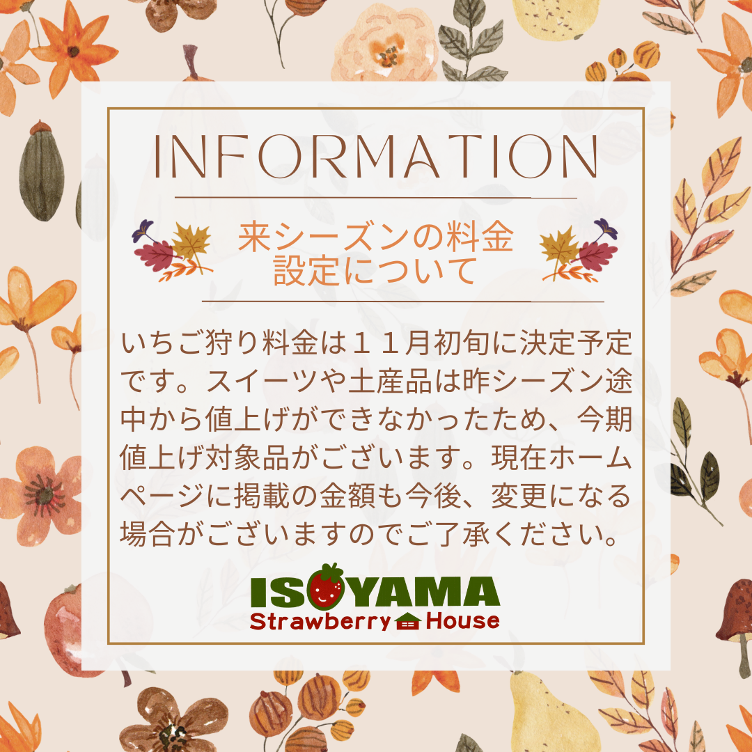 磯山観光いちご園でアイベリー・ふさの香・紅ほっぺ・もういっこの