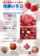 冷凍いちごポップ21 × 29.7 cm) (2).png