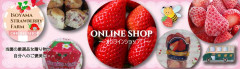 onlineshop-tagu.jpg