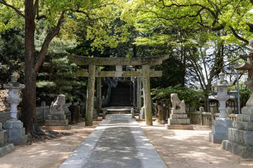 250501NG076.jpg