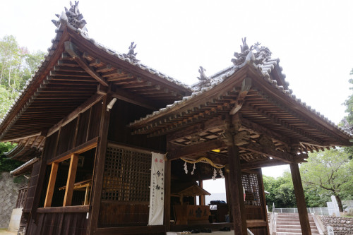 260615NGN001web.jpg
