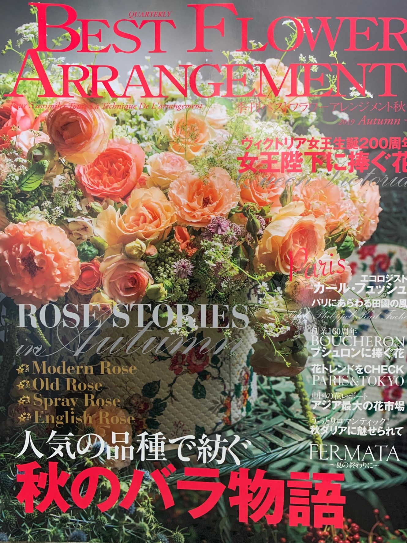 image1 のコピー.png
