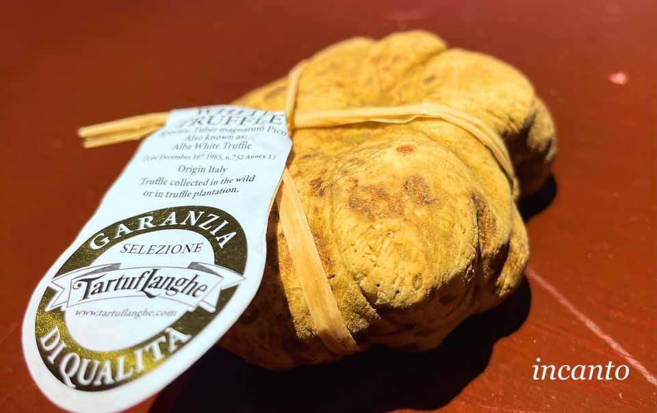 白トリュフコースのご案内