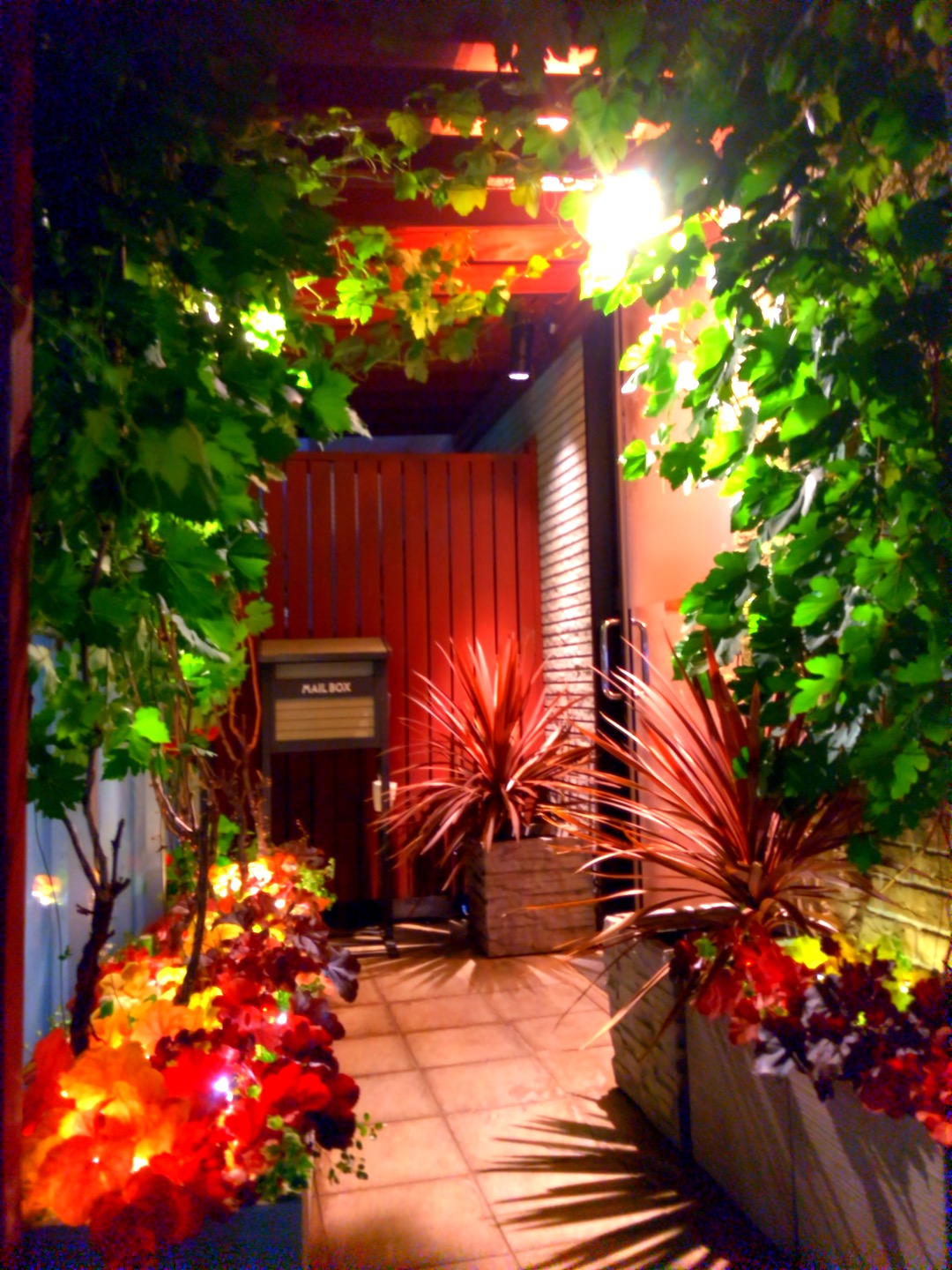 クリスマスコースのご案内