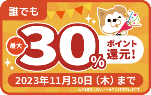 ハチペイ1周年🎶