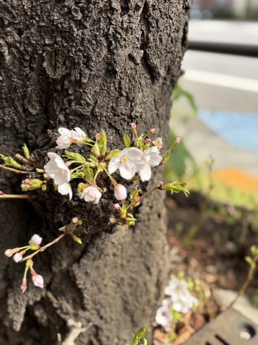 4月・5月のお休み