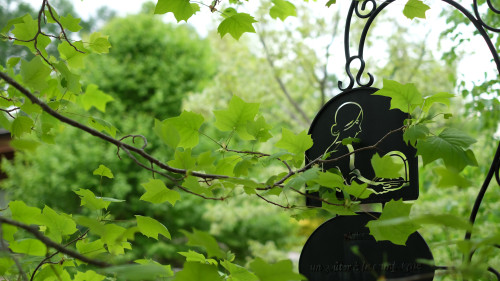 オンラインストアを再開致しました