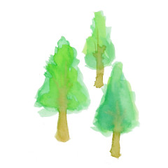 tree4.jpg
