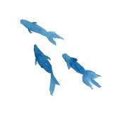 金魚.jpg