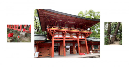 大宮氷川神社と中山神社参拝開催しました