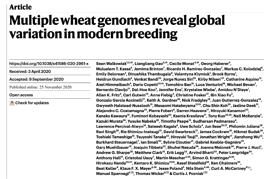 世界のコムギ15品種の高精度ゲノム解読に関する論文が、世界トップレベルの学術誌Natureに掲載されました