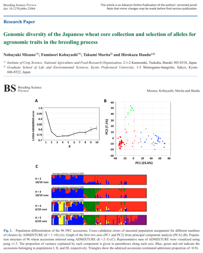 ハイスループット・ジェノタイピングデータを用いた日本のコムギコアコレクション（JWC）の解析から、日本産コムギの遺伝的多様性を明らかにした論文を、日本育種学会の学術誌Breeding Scienceに