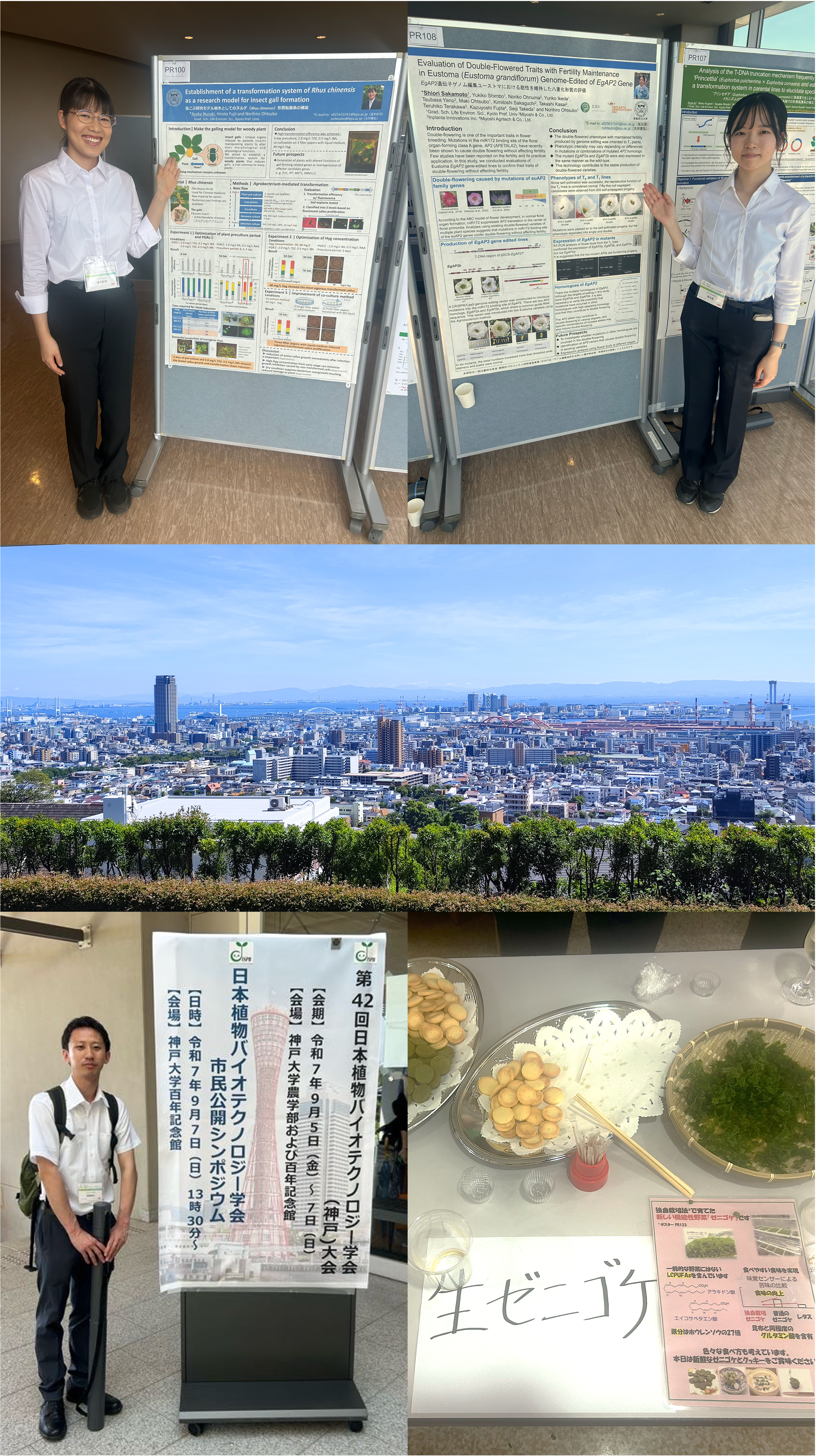 第42回日本植物バイオテクノロジー学会（神戸）大会に参加しました