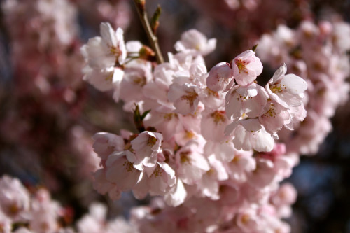 陽だまり・・・