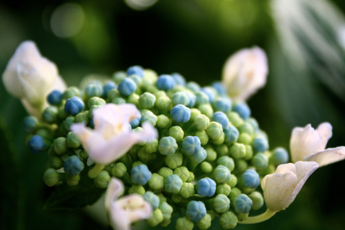 なんとも・・・