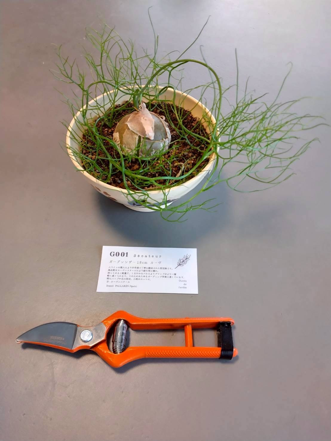 新入荷・再入荷のお知らせ