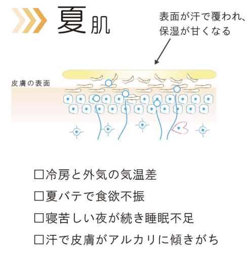 注意！！　夏のお肌はインナードライスキンになりやすい。