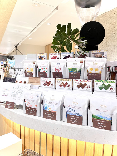 Bean to BarチョコレートPOP UP