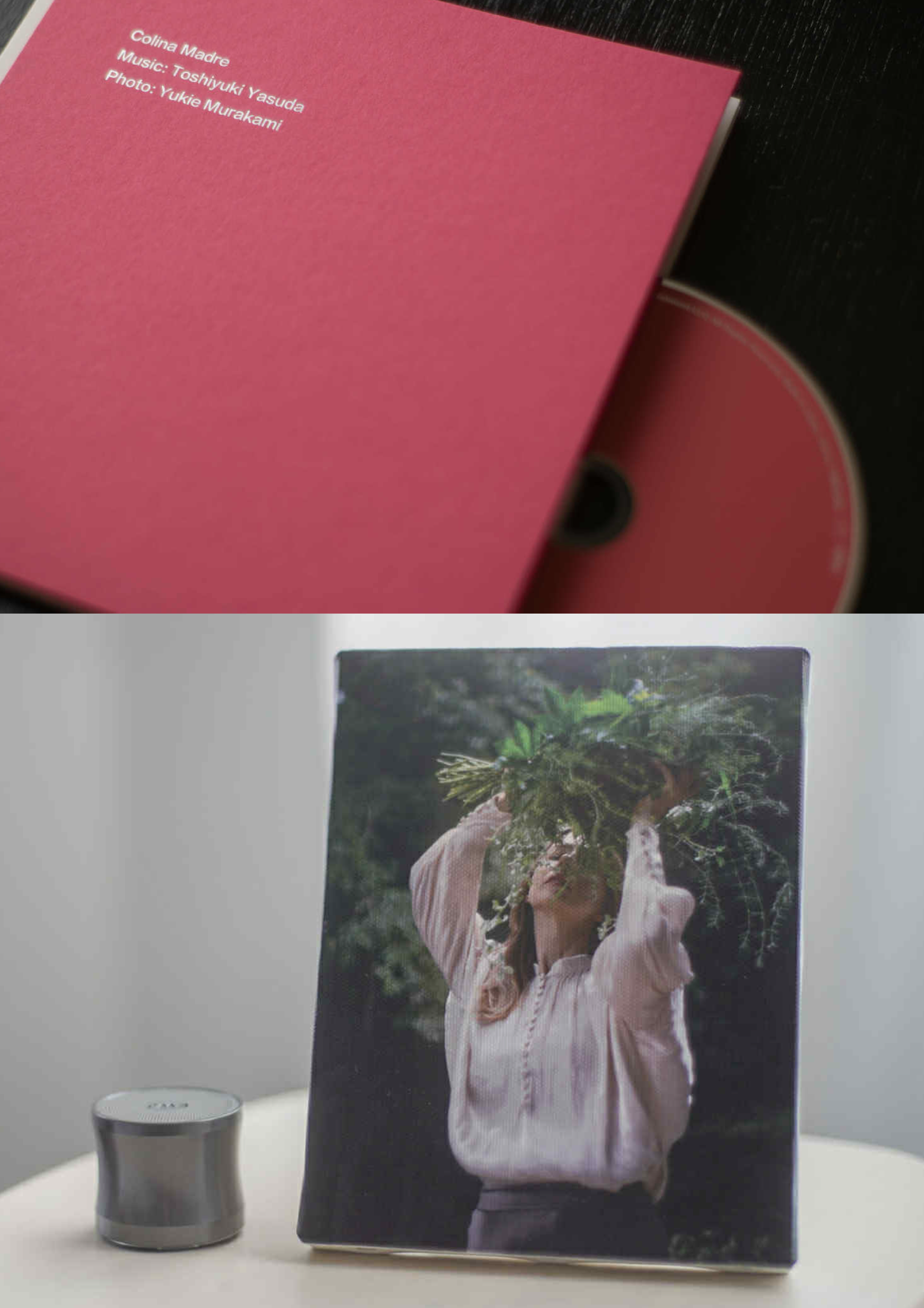 安田寿之「Colina Madre」生BGM演奏