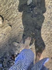 IMG_3529.jpeg