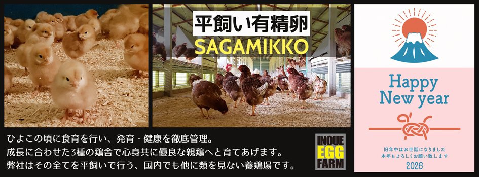 【公式】平飼い有精卵さがみっこ　-　CAGE FREE EGG