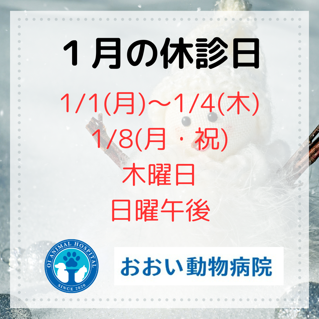 １月の休診日のお知らせ