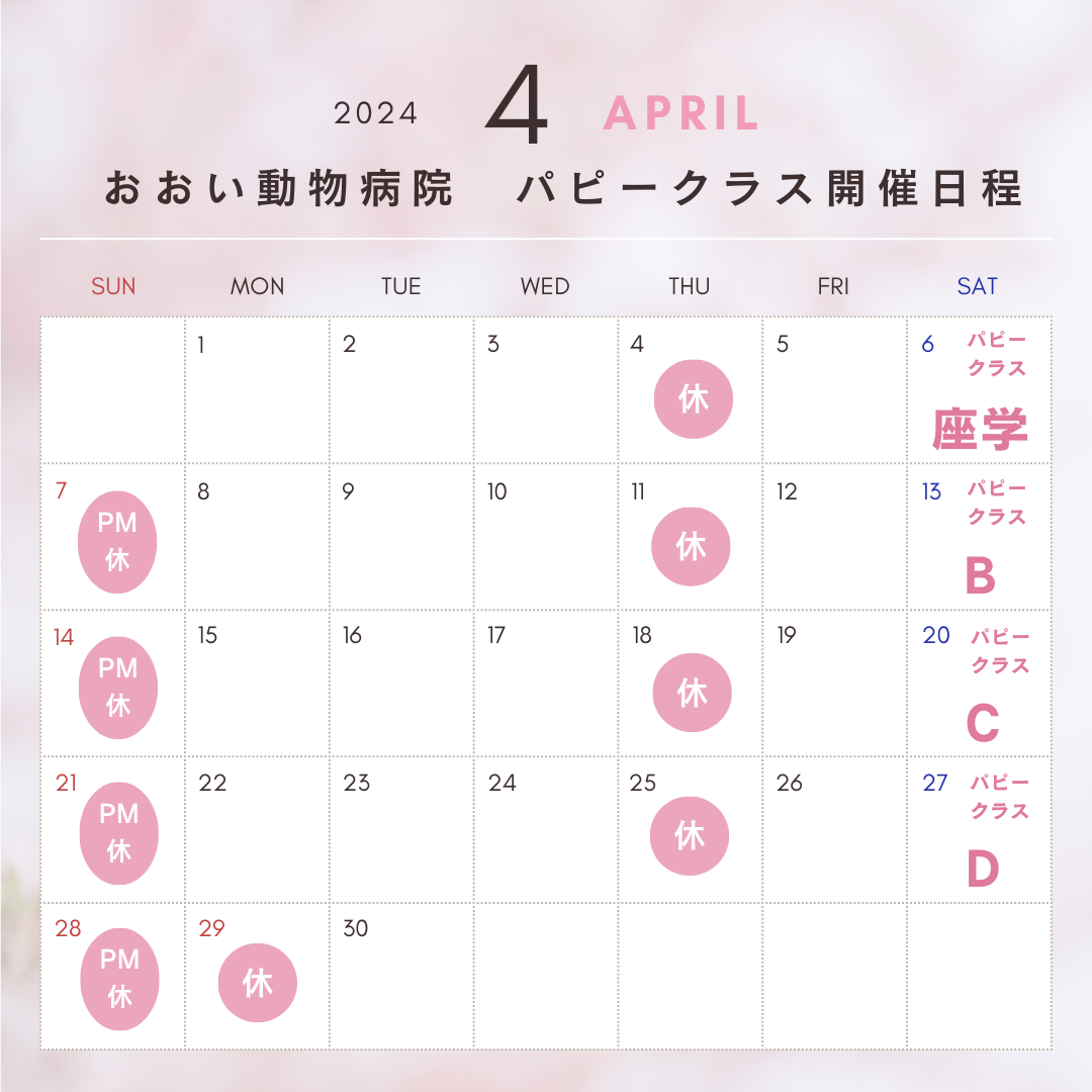 ピンク ホワイト ナチュラル 桜  2024年4月 営業日カレンダー インスタグラム投稿.png