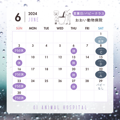 紫　2024年　6月　カレンダー　コーヒー　カフェ　Instagramの投稿.png
