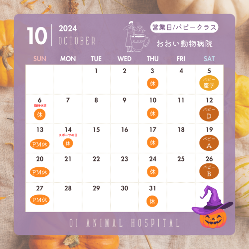 紫　2024年10月　カレンダー　カフェ　ハロウィン　Instagramの投稿.png