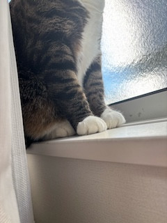 2025-05-19 20.54の画像 (1).jpeg