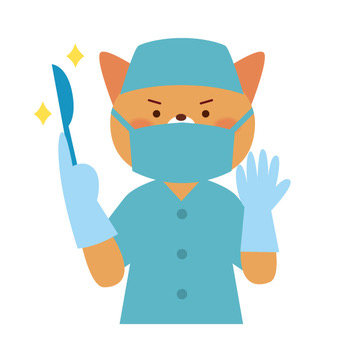 犬の避妊・去勢手術のメリットと注意点｜一宮市 おおい動物病院＜増田＞