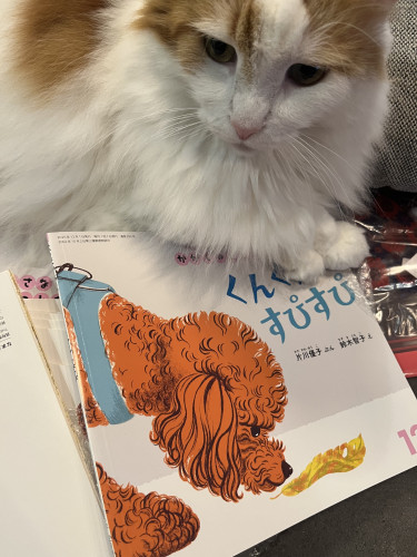 新刊絵本『くんくん すぴすぴ』発売のお知らせ｜おおい動物病院 副院長・片川優子の新作