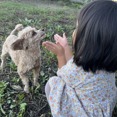 I長女とからあげ(病院犬)の写真