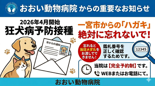 【一宮市】2026年度（令和8年度）狂犬病予防接種のご案内｜ハガキ持参と予約制のお願い