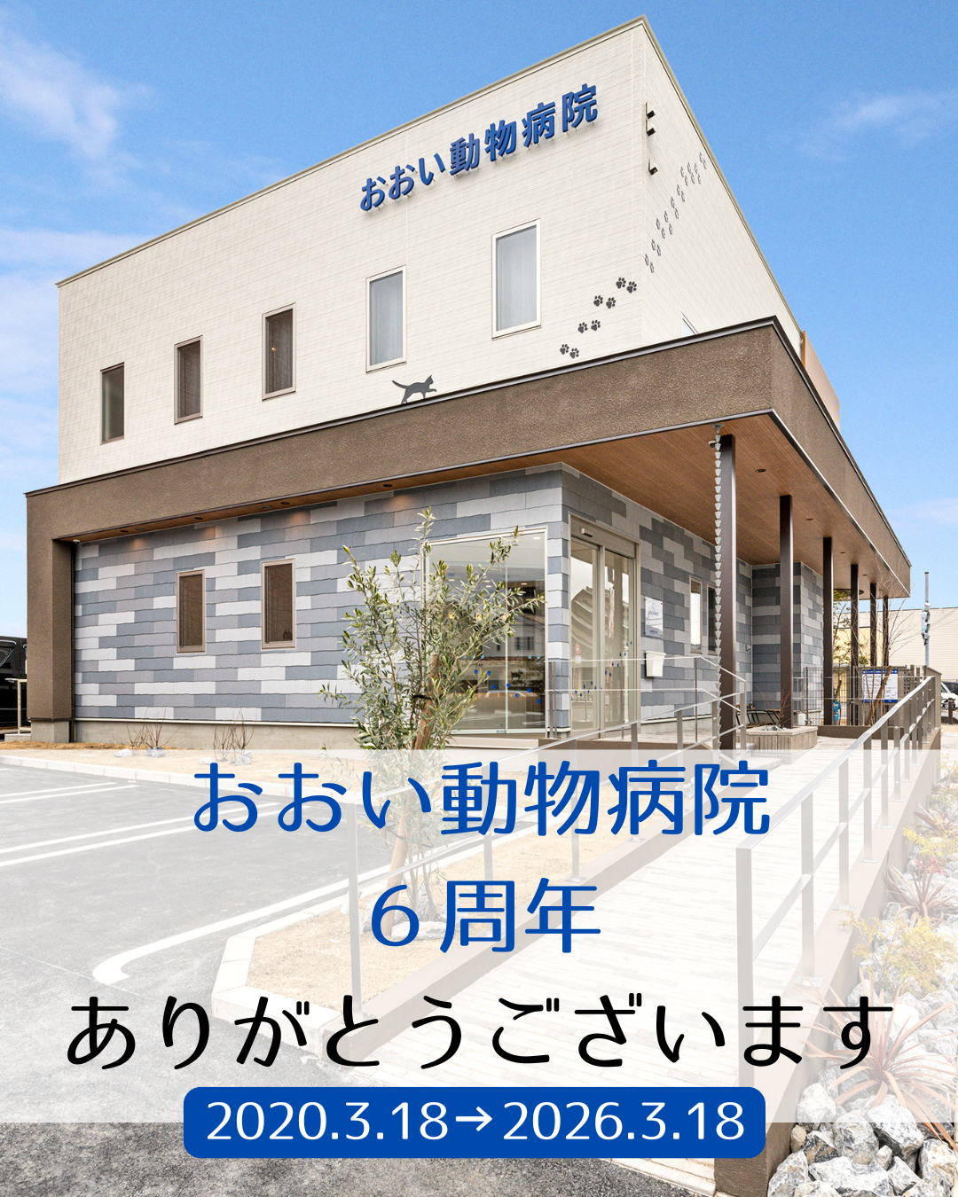 開院6周年のご挨拶と感謝、そして新たな取り組みについて｜愛知県一宮市　おおい動物病院