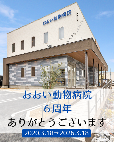開院6周年のご挨拶と感謝、そして新たな取り組みについて｜愛知県一宮市　おおい動物病院