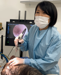 ストルツ社製ビデオオトスコープを用いた犬の難治性外耳炎処置